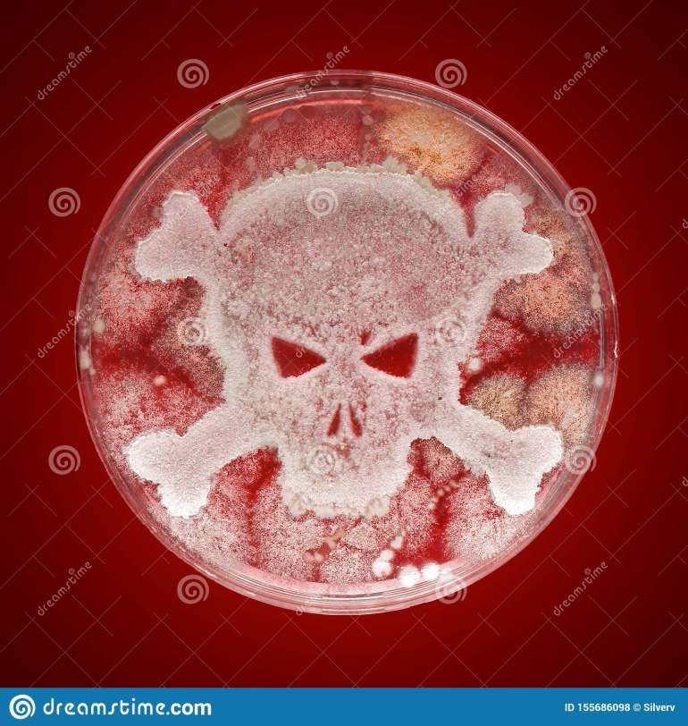 petri-dish-bacteria-shape-skull-crossbones-petri-dish-growing-bacteria-shape-skull-crossbones-155686098